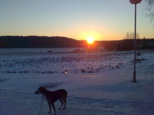 Hyvää Itsenäisyyspäivää! Auringon nousu 9.24